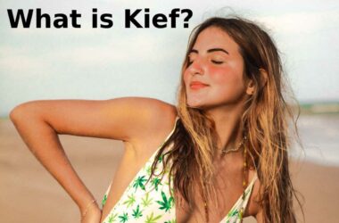 Kief Explained